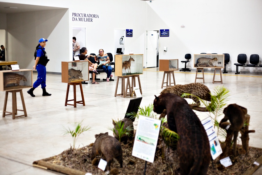 Exposição Memorial do Cerrado- Câmara Municipal de Anápolis