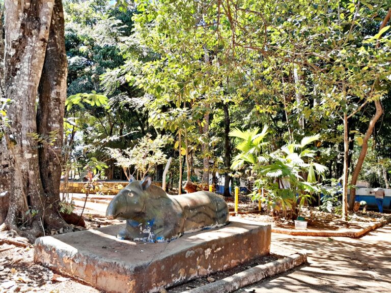 Parque da Matinha - Mídia 1